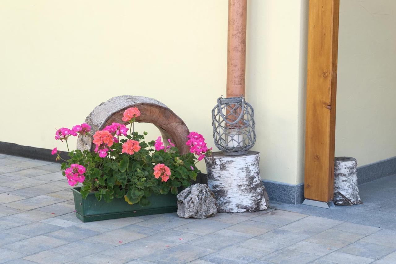 B&B Le Ciorciole テーゼロ エクステリア 写真